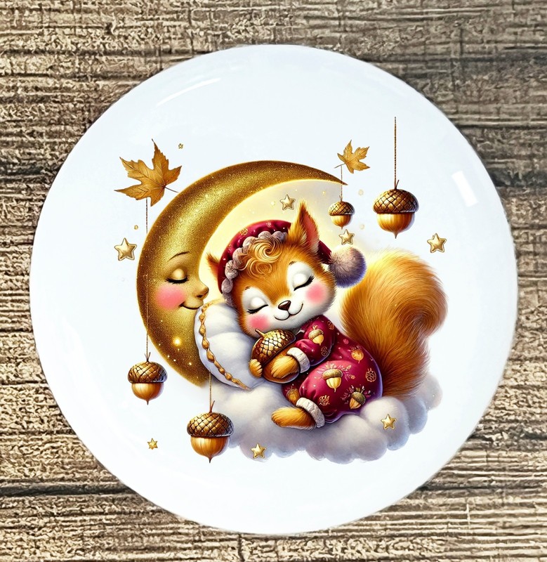 SQUIRREL SLEEPING CLOUD STARS MOON White ceramic knob kitchen cabinet STYLE 1