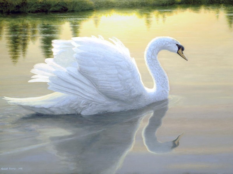 Ceramic Tile Mural Kitchen Backsplash – QUIET WATERS Swan – Bird Wildlife Art