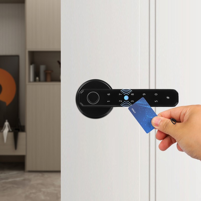 Zinc Alloy Fingerprint Keypad Door Lock With Handle - 50 Fingerprints 100 PINs