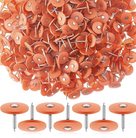 #12 X 1 In. 2D Electro-Galvanized Steel Roofing Nails with Plastic Cap 1lb