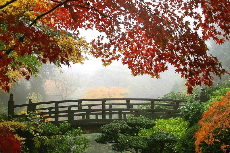3D Tree Bridge Landscape Wallpaper Wall Murals Removable Wallpaper gallery