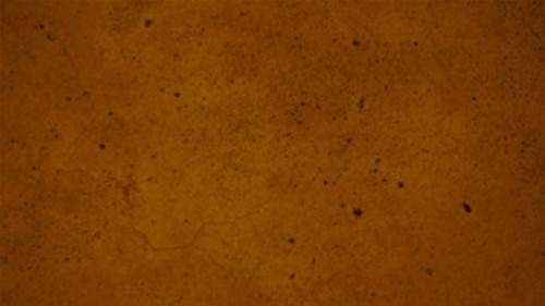 Fast Drying Concrete Stain-Professional-Easy to Use 400-600sq ft Hazelnut gallery
