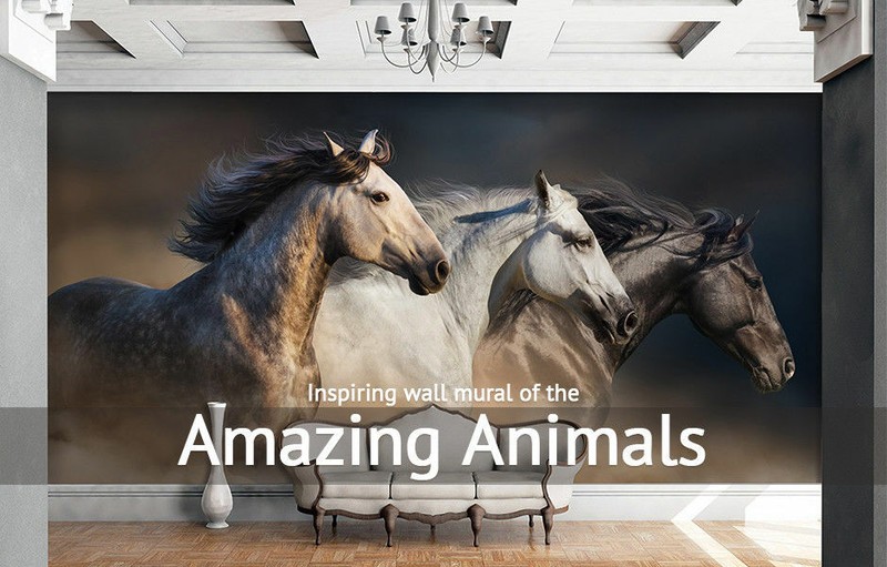 3D Blue Feather ZHUA9719 Wallpaper Wall Murals Removable Self-adhesive Ann 24 gallery