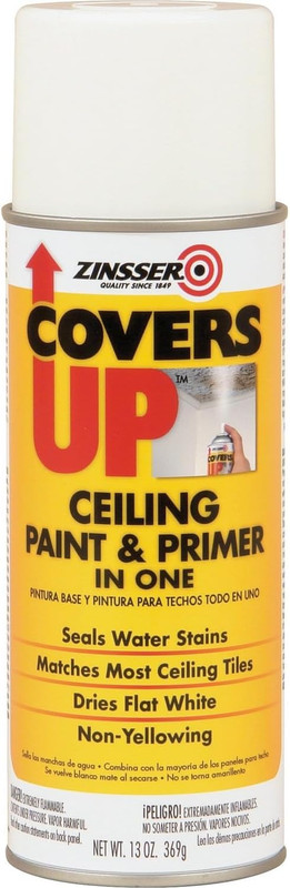 Stain Sealing Ceiling Paint gallery