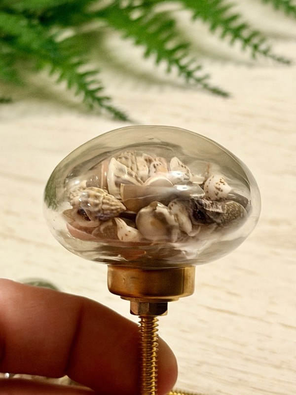 1 Seashell Filled Glass Drawer Pulls Knobs Cabinet Nautical Beach Decor Hardwar gallery