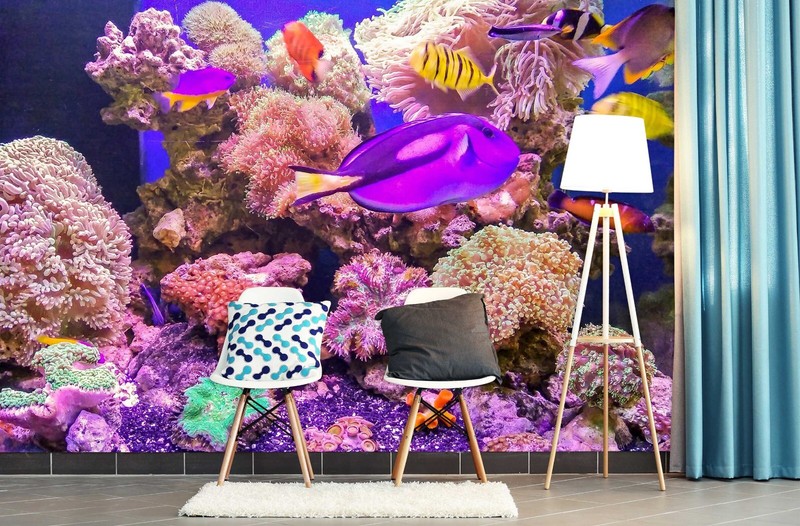 3D Purple Fish O1727 Wallpaper Wall Murals Removable Wallpaper Sticker Fay