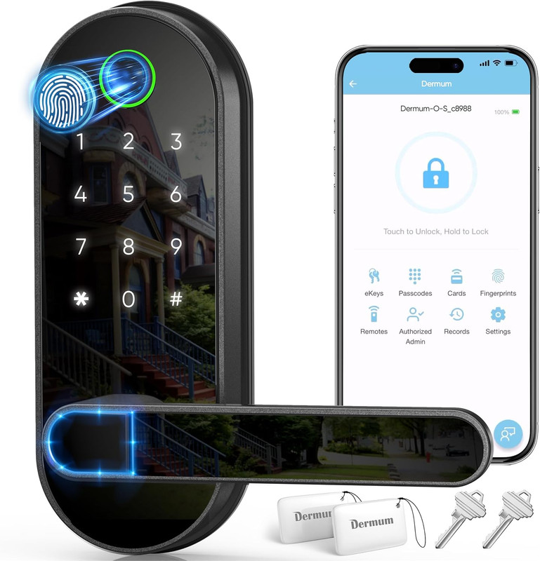 Keyless Entry Fingerprint Digital Smart Lock with Handle & Keypad: Electronic/El