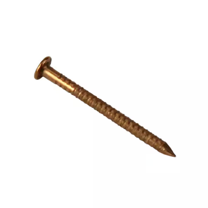 1 In. Bronze Boat Nails