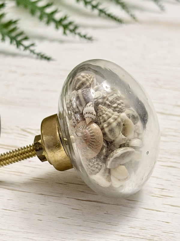 1 Seashell Filled Glass Drawer Pulls Knobs Cabinet Nautical Beach Decor Hardwar gallery