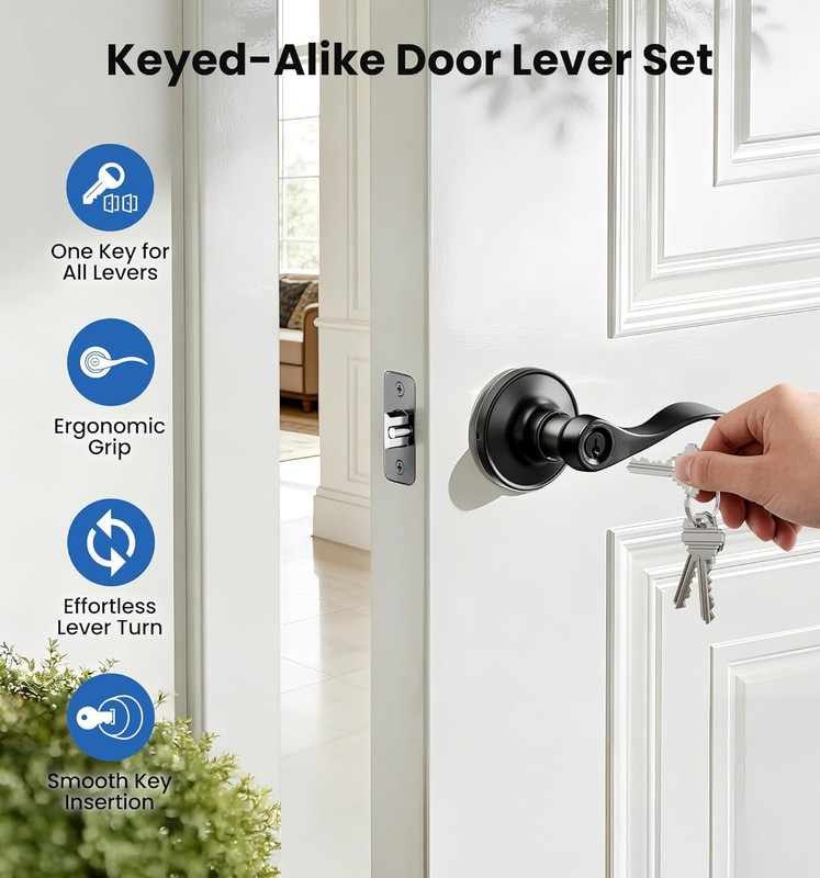 2 Pack Keyed Entry Door Lever, Same Key Wave Handle Lock for Exterior & Interior gallery