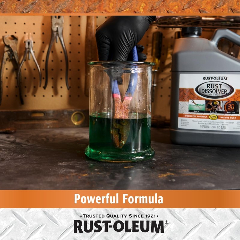 Rust Oleum Rust Dissolver Bath 128 Fl Oz Easy No Scrubbing Removes Rust Fast gallery