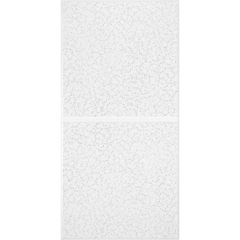 Scored 24 In. X 48 In. Tegular Ceiling Tile (80 Sq. Ft./Case)