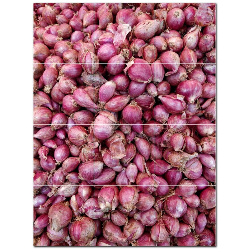 Fruit Ceramic Tile Wall Mural PT500667. 32″ W x 24″ H (12) 8×8 tiles