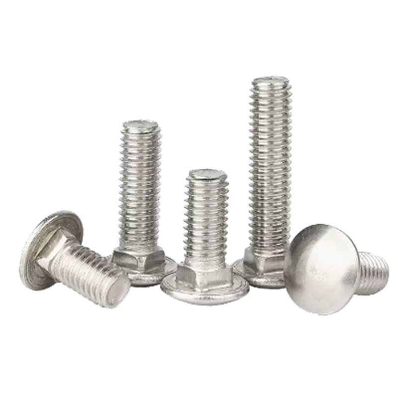 3pcs M8 Carriage Square Neck Screws Half Round Head screw Thread Bolts SUS304