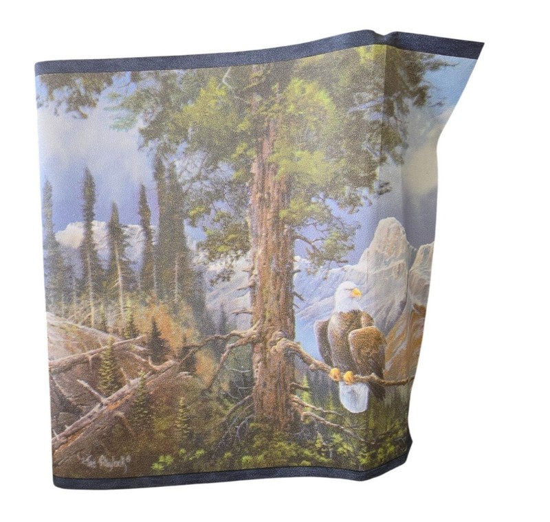 Expressions Pre-Pasted Wall Border With Bald Eagle & Mountain Scene 5 Yards x 2 gallery