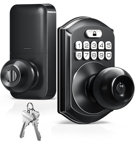  TE003 Keyless Entry Keypad Door Lock with Handle, Electronic Matte Black