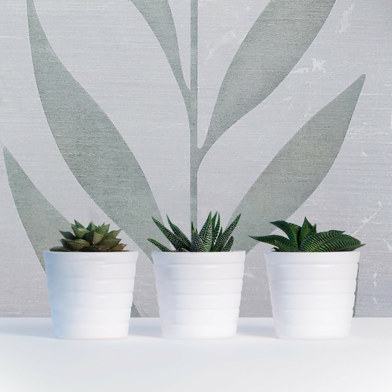 Wallpaper gray silver Metallic Textured Flocking tree tropical plant leaves