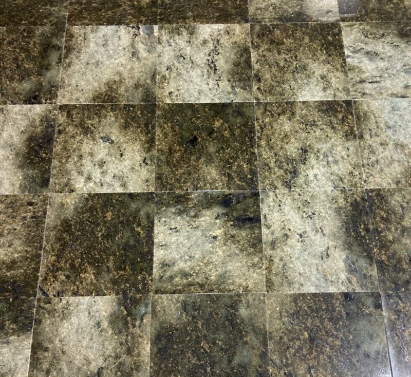 12×12 Tile Sea Coral Green Stone Granite Floor Shower (100 Square Feet) T-99